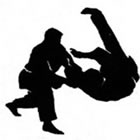 Hapkido em Juiz de Fora